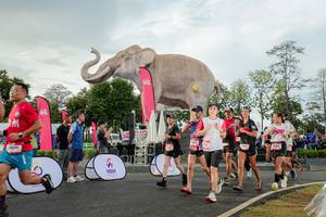 BIB: 
                            <button type="button" onclick="openModal(26528338)" class="btn btn-primary btn-sm float-right btn-popup" data-toggle="modal" data-target=".modal-high-quality">
                        <i class="fas fa-shopping-cart"></i> Add to Cart
                    </button>
                                            <button type="button" onclick="isThisMe(26528338, true)" class="btn btn-success btn-sm float-right btn-popup btn-isme hidden" data-toggle="tooltip" data-placement="bottom" title="นี่คือรูปของคุณใช่ไหม คลิกที่นี่เพื่อเอาเข้าอัลบั้ม">
                        <i class="fas fa-plus"></i> Add to album
                    </button>
                    <button type="button" onclick="isThisMe(26528338, false)" class="btn btn-warning btn-sm float-right btn-popup btn-isnotme hidden">
                        <i class="fas fa-ban"></i> Remove from album
                    </button>